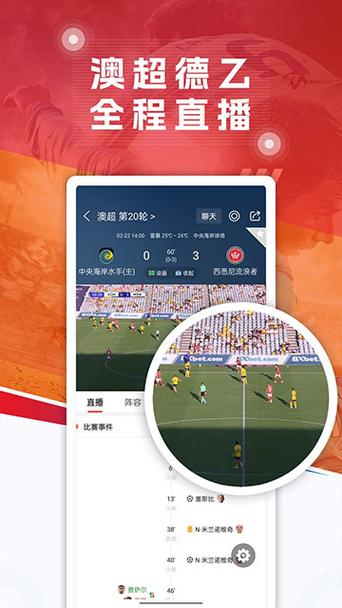 球探网手机旧版本截图3