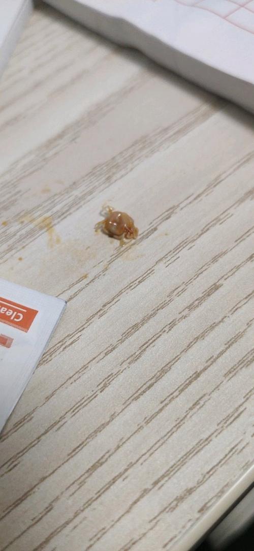 外卖吃出虫子怎么赔偿