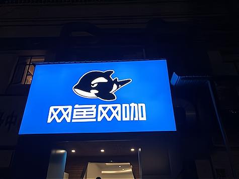 网鱼网咖会员有什么用