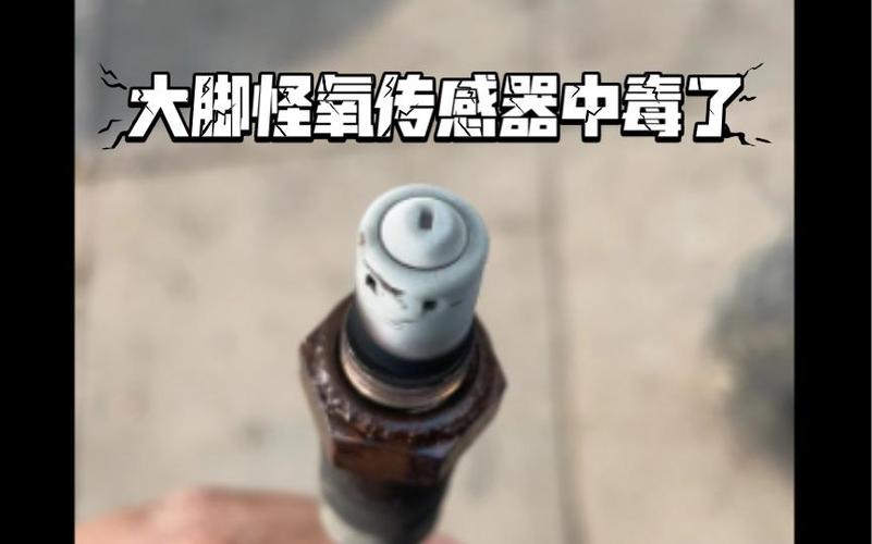 大脚任务怪上面感叹号截图2