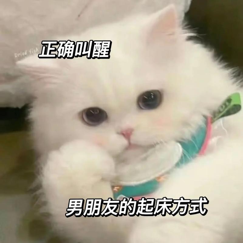 男朋友起床也要
