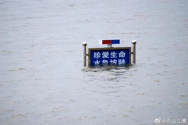 长江上游水文网实时查询水位