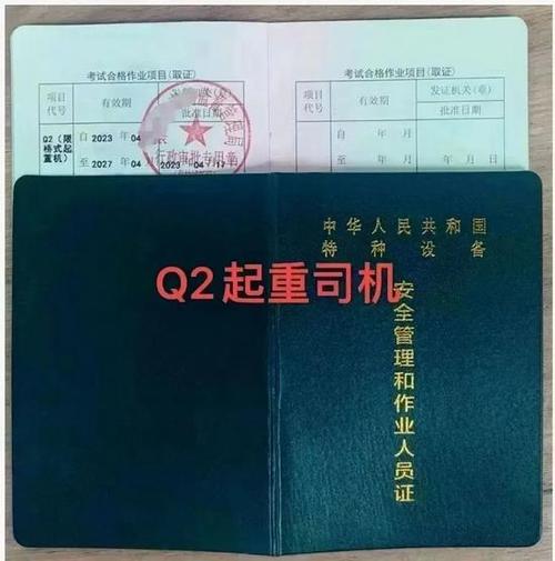 Q1什么意思截图2