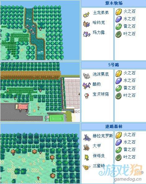 口袋妖怪黑2练级地点