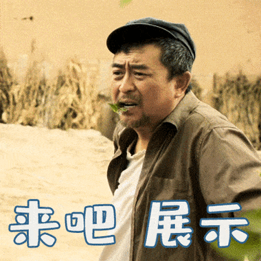 水叔动态表情包gif