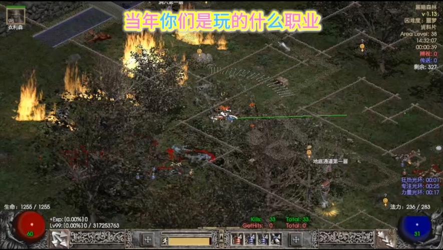 暗黑破坏神2电脑单机版下载