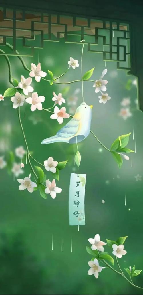 手机tft屏幕会老化吗