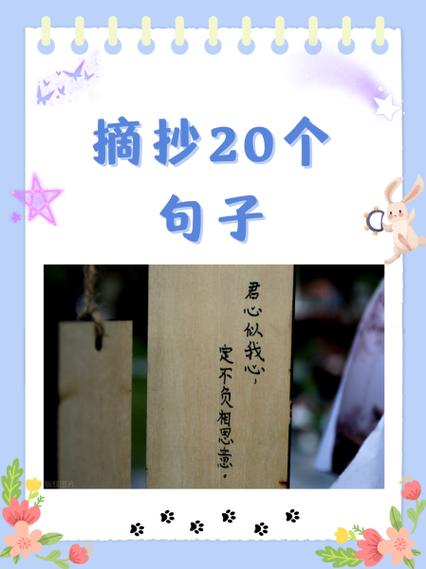 我的暑假秘密回忆繁星