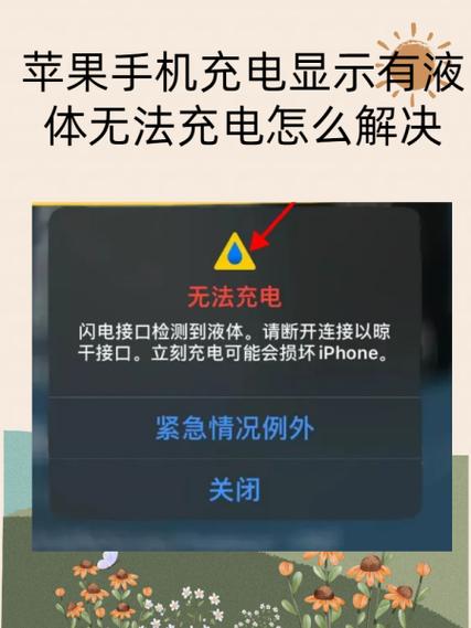 苹果11充电显示接口有液体