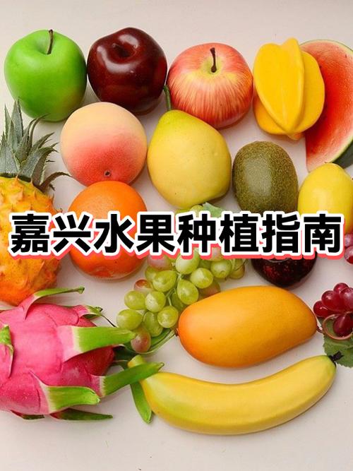创宏种水果云种植截图2