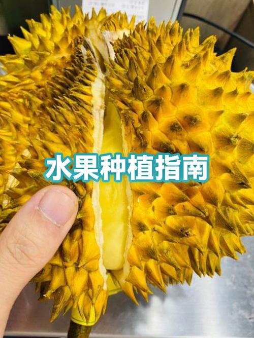 创宏种水果云种植截图3