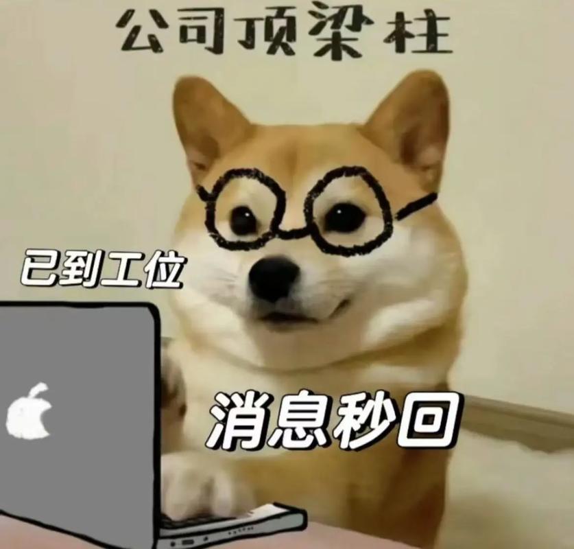金牛男不主动联系却秒回