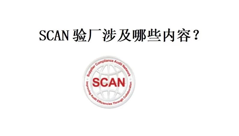 scan下载
