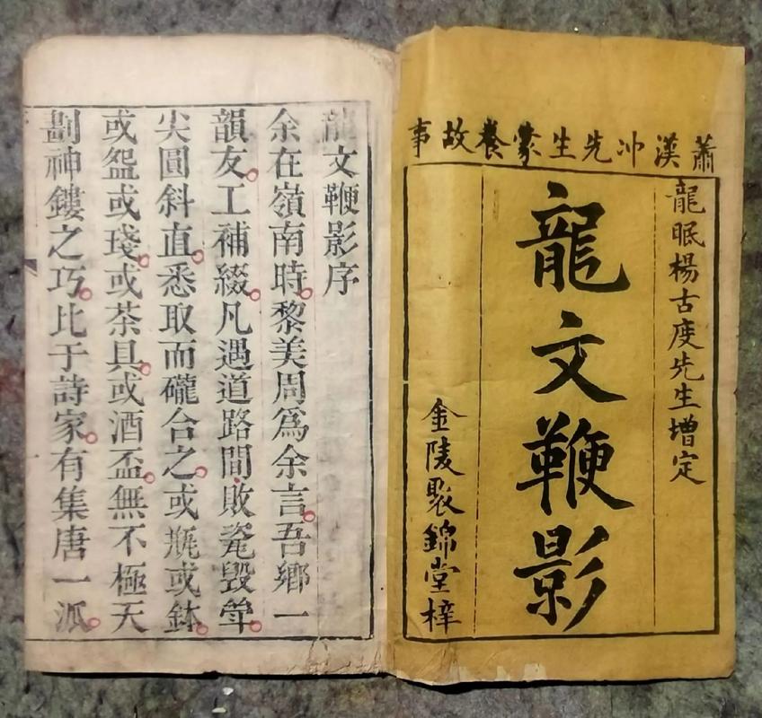 顺隆书院小说截图3