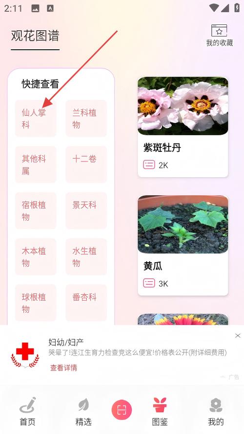 仙人掌安卓下载官网截图2