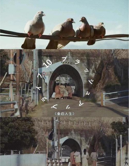 《重启人生林总》短剧