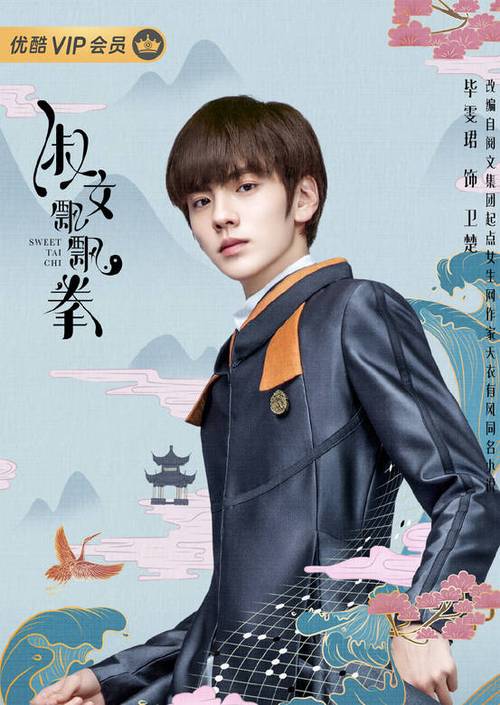 淑女瓢飘拳什么时候播