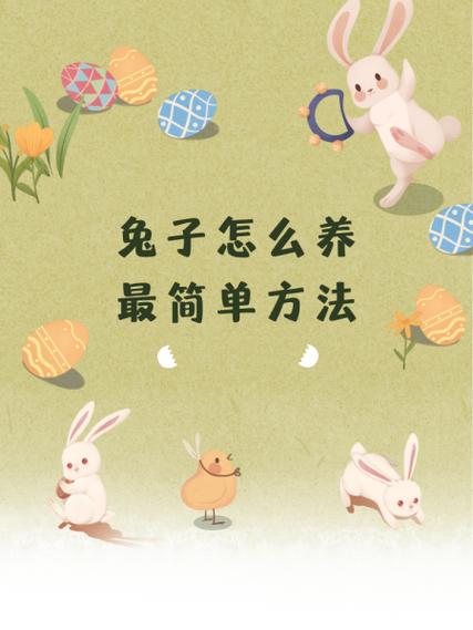 怎么照顾小兔子小班教案
