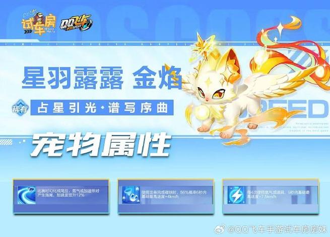 qq飞车竞速用什么宠物好