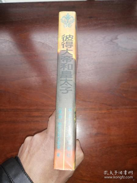 开局太子,登基奖励大帝的小说截图3