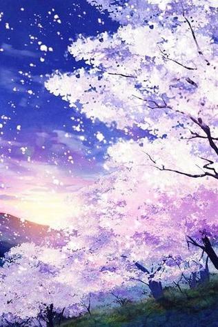 樱花动漫观看动漫片截图2