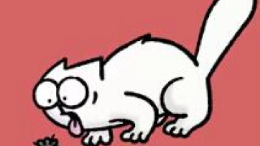 西蒙的猫是什么品种截图3