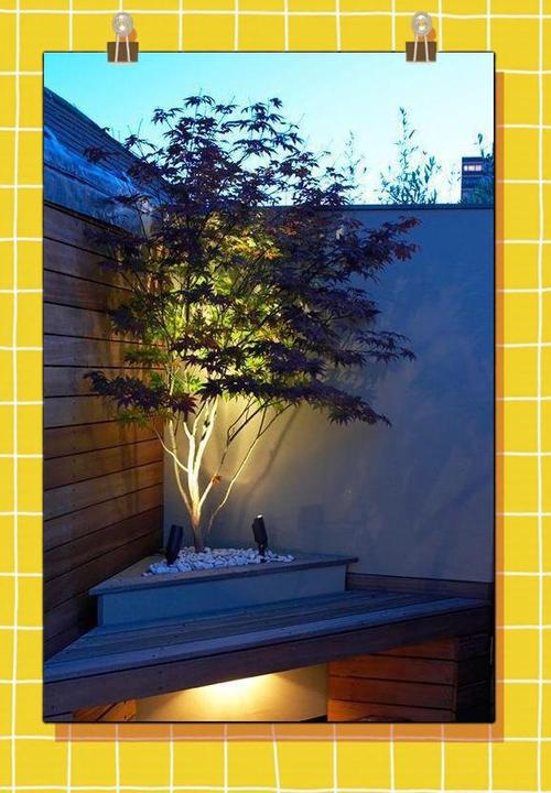 植物晚上释放氧气还是二氧化碳