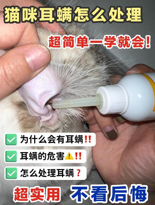 蓝牙耳机壳脏了怎么办