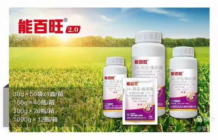 辉丰能百旺价格