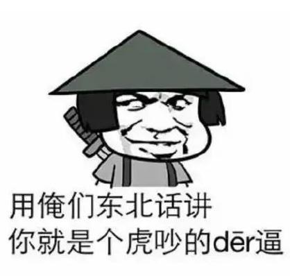 东北的骂人的话语