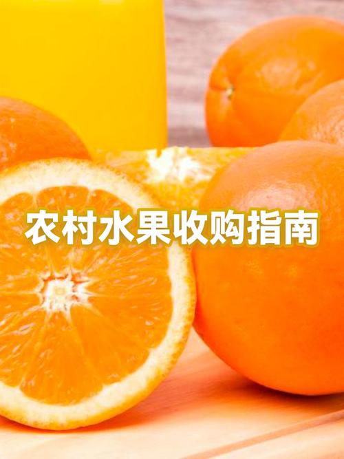 找收购水果老板电话