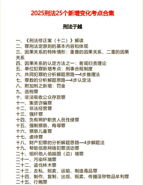 刑法英文版pdf截图2