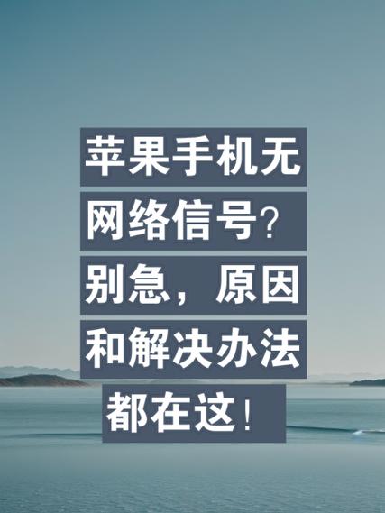 手机老是没有信号是什么原因