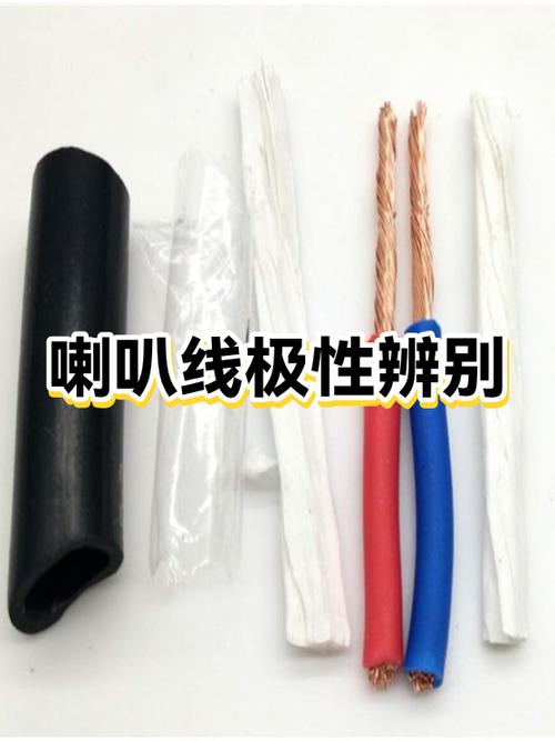 喇叭的蓝白线怎么分正负?
