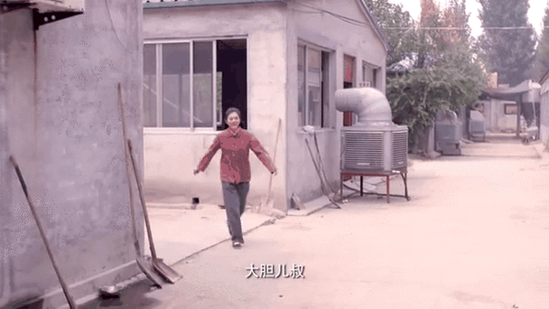 牛大胆养猪场成功了吗