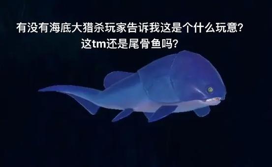 海底大猎海底大猎杀下载安装