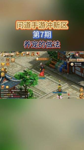 问道刷亲密 问道刷亲密