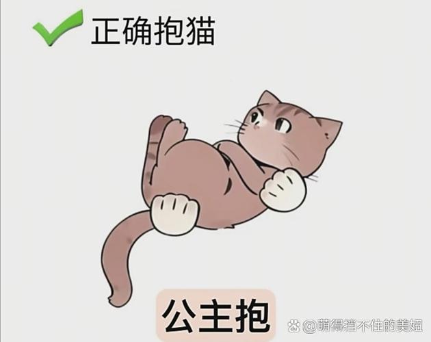 扶住是什么意思