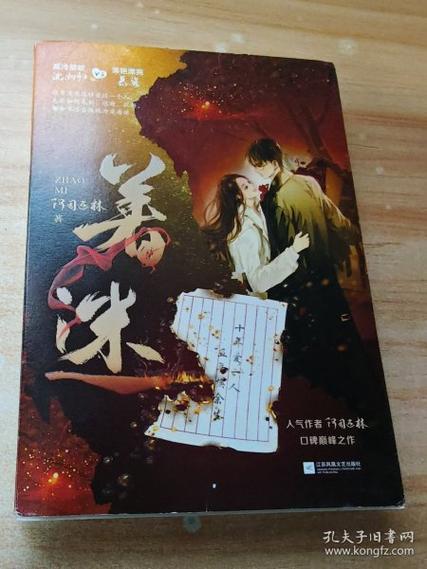 着迷by阿司匹林TXT下载截图1