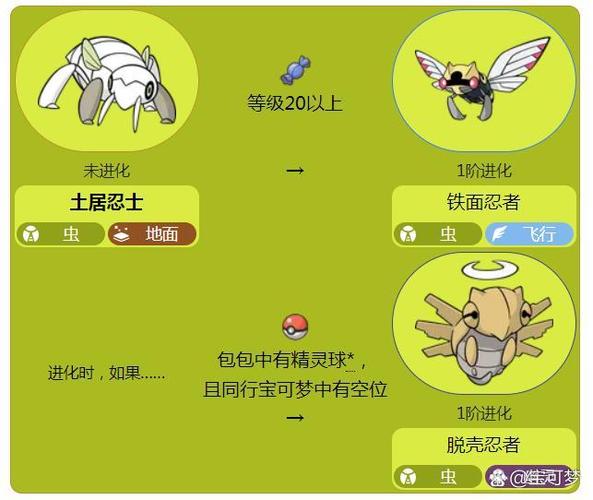 土居忍士种族值