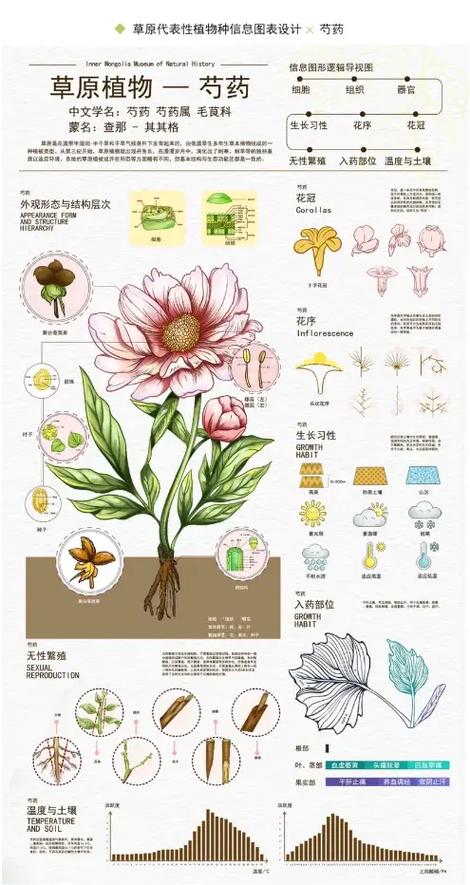 视觉传达设计是学什么的