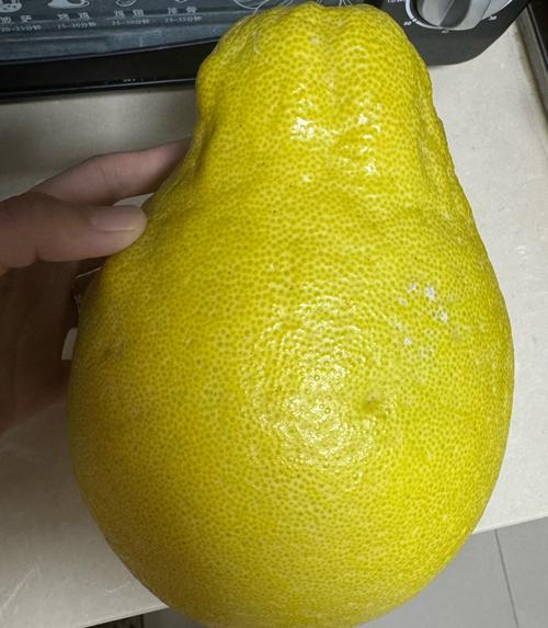柚子联盟大联盟 柚子联盟大联盟