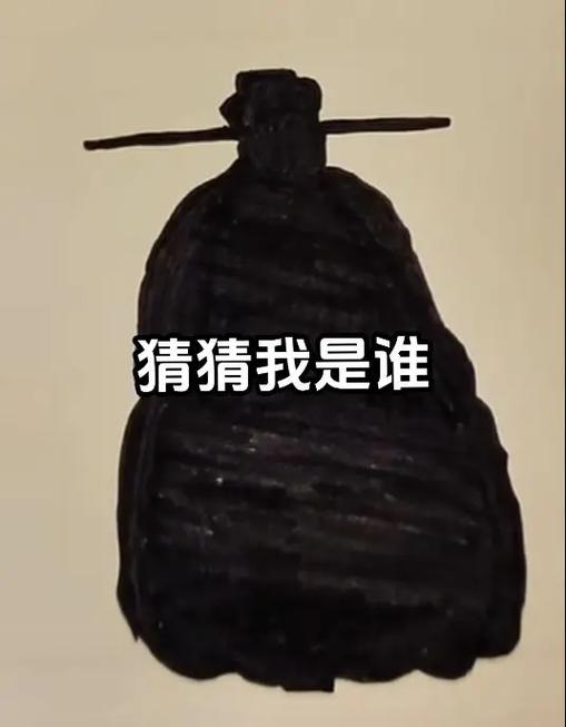 猜猜我是谁手机游戏 猜猜我是谁手机游戏