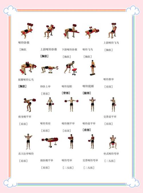 健身房健身计划截图2