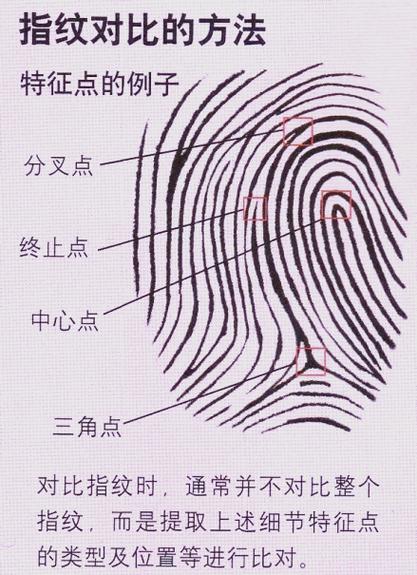 指纹功能如何使用