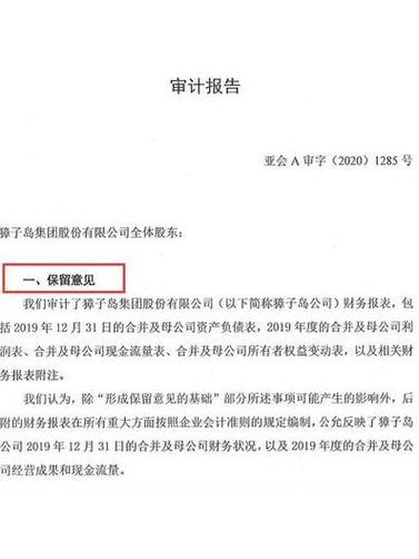审计报告格式