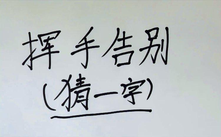 《你来比划我来猜》截图2