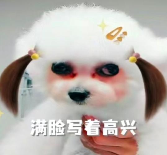庆祝一下表情包