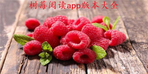 树莓阅读小说下载新版本 树莓阅读小说下载新版本