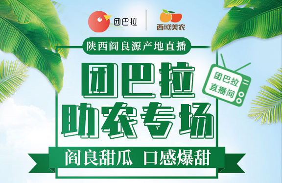 团巴拉是什么